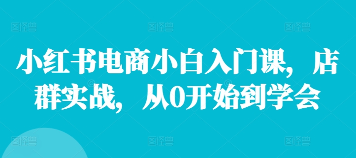 mp9763期-小红书电商小白入门课，店群实战，从0开始到学会