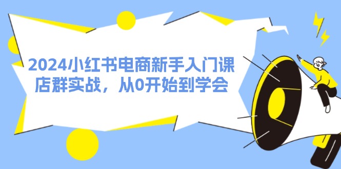 fy5300期-2024小红书电商新手入门课，店群实战，从0开始到学会（31节）