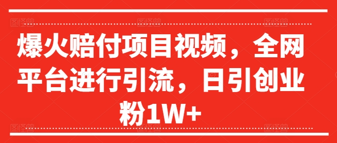 mp9789期-爆火赔付项目视频，全网平台进行引流，日引创业粉1W+