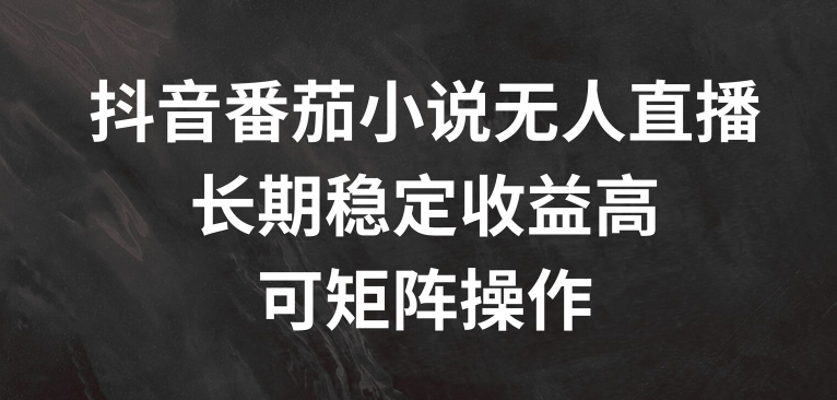 mp9796期-抖音番茄小说无人直播，长期稳定收益高，可矩阵操作