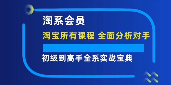 fy5415期-淘系会员初级到高手全系实战宝典【淘宝所有课程，全面分析对手】