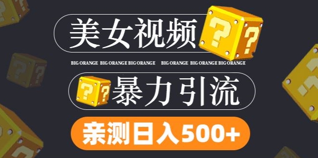 mp9967期-搬运tk美女视频全网分发，日引s粉300+，轻松变现，不限流量不封号