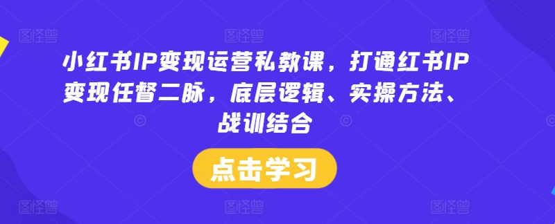 mp9994期-小红书IP变现运营私教课，打通红书IP变现任督二脉，底层逻辑、实操方法、战训结合