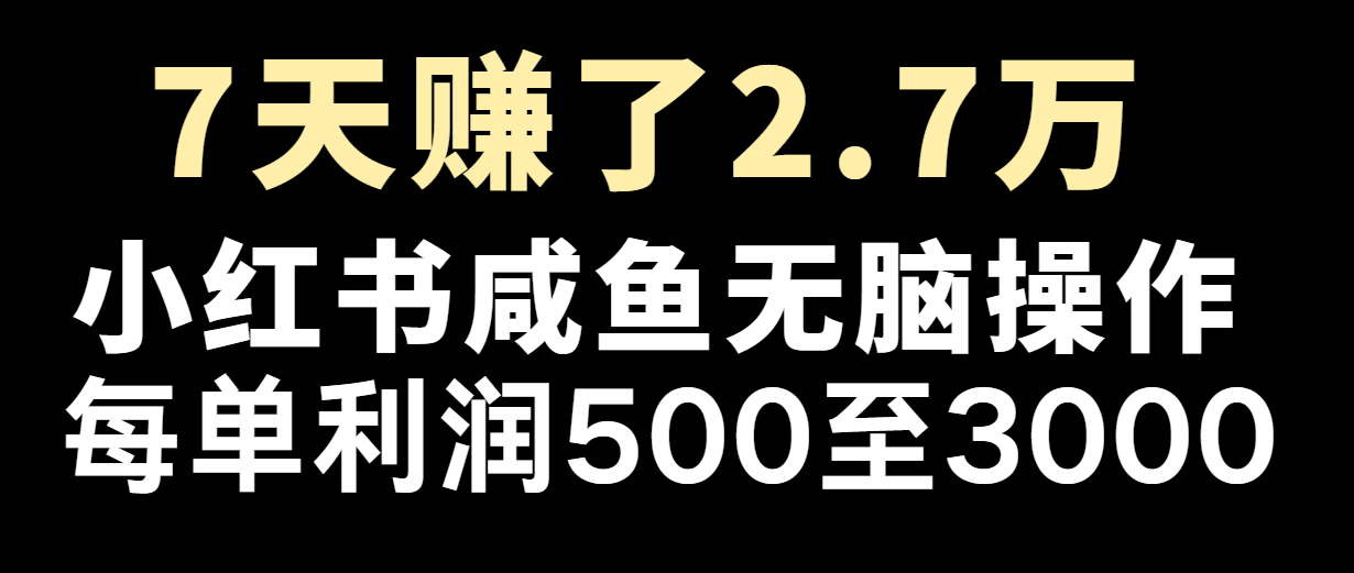 fy5660期-七天赚了2.7万！每单利润最少500+，轻松月入5万+小白有手就行