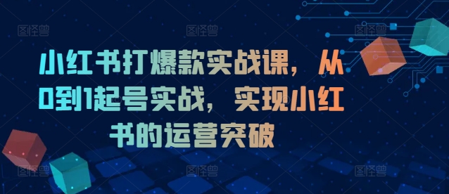 mp10062期-小红书打爆款实战课，从0到1起号实战，实现小红书的运营突破