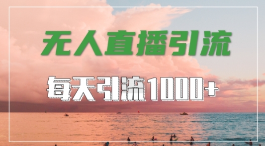 mp10883期-抖音快手视频号全平台通用，无人直播引流法，超暴力引流1000+高质量精准创业粉