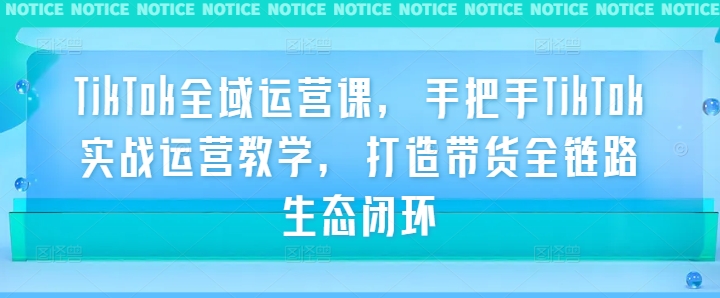 mp10990期-TikTok全域运营课，手把手TikTok实战运营教学，打造带货全链路生态闭环