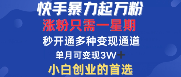 mp11054期-快手暴力起万粉，涨粉只需一星期，多种变现模式，直接秒开万合，单月变现过W