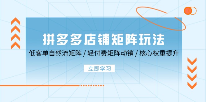 fy6772期-拼多多店铺矩阵玩法：低客单自然流矩阵 / 轻付费矩阵 动销 / 核心权重提升