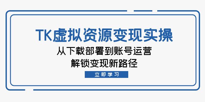 fy6845期-TK虚拟资源变现实操：从下载部署到账号运营，解锁变现新路径