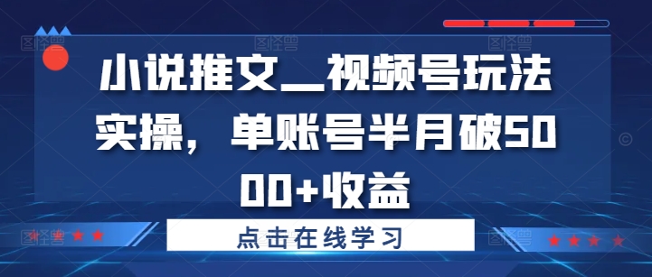 mp11300期-小说推文—视频号玩法实操，单账号半月破5000+收益