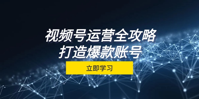 fy7186期-视频号运营全攻略，从定位到成交一站式学习，视频号核心秘诀，打造爆款账号