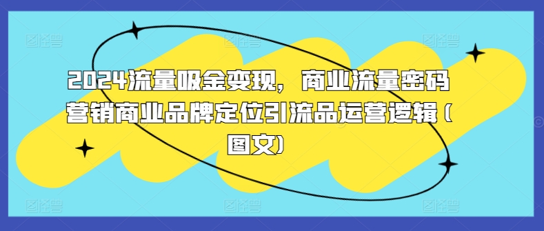 mp12119期-2024流量吸金变现，商业流量密码营销商业品牌定位引流品运营逻辑(图文)