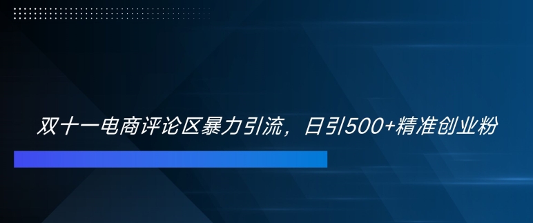 mp12250期-双十一电商评论区暴力引流，日引500+精准创业粉