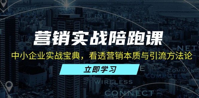 （13146期）营销实战陪跑课：中小企业实战宝典，看透营销本质与引流方法论