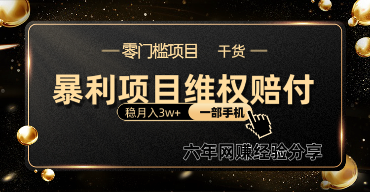 fy8297期-暴利项目线上维q赔付小白月入3w+一部手机改变思维不用剪辑写文案