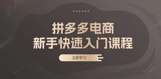 fy8317期-拼多多电商新手快速入门课程：涵盖基础、实战与选款，助力小白轻松上手