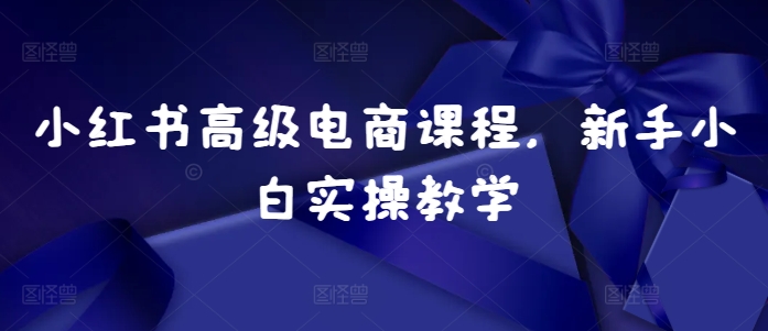 mp12634期-小红书高级电商课程，新手小白实操教学