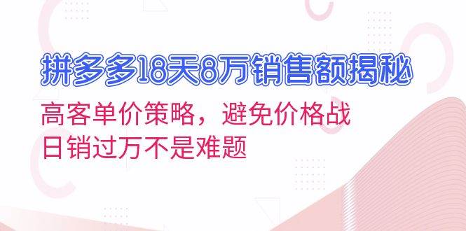 fy8571期-拼多多18天8万销售额揭秘：高客单价策略，避免价格战，日销过万不是难题