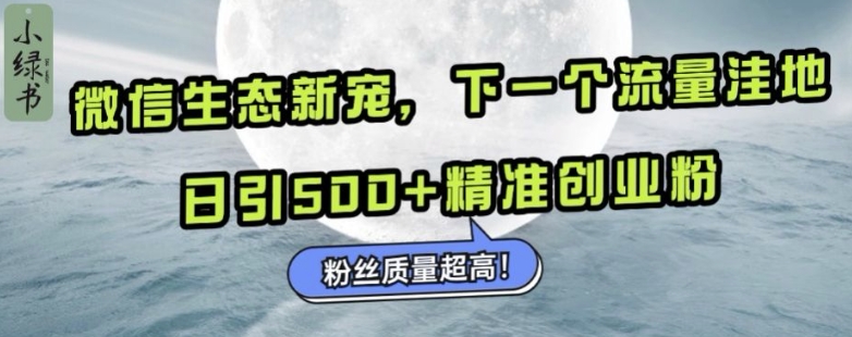 mp12867期-微信生态新宠小绿书：下一个流量洼地，日引500+精准创业粉，粉丝质量超高