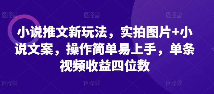 mp13074期-小说推文新玩法，实拍图片+小说文案，操作简单易上手，单条视频收益四位数