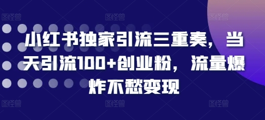 mp13106期-小红书独家引流三重奏，当天引流100+创业粉，流量爆炸不愁变现