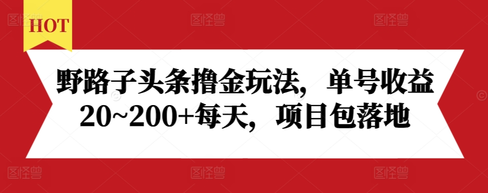 mp13107期-野路子头条撸金玩法，单号收益20~200+每天，项目包落地