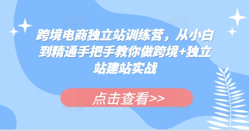 mp13178期-跨境电商独立站训练营，从小白到精通手把手教你做跨境+独立站建站实战