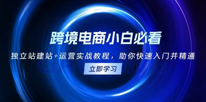 fy8848期-跨境电商小白必看！独立站建站+运营实战教程，助你快速入门并精通