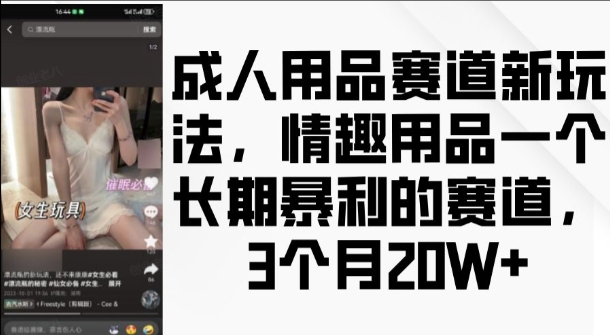 mp13294期-成人用品赛道新玩法，情趣用品一个长期暴利的赛道，3个月收益20个