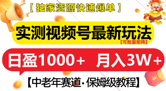 mp13300期-实测视频号最新玩法，中老年赛道，独家资源，月入过W+