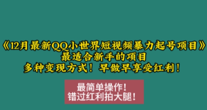 mp13429期-12月最新QQ小世界短视频暴力起号项目，最适合新手的项目，多种变现方式