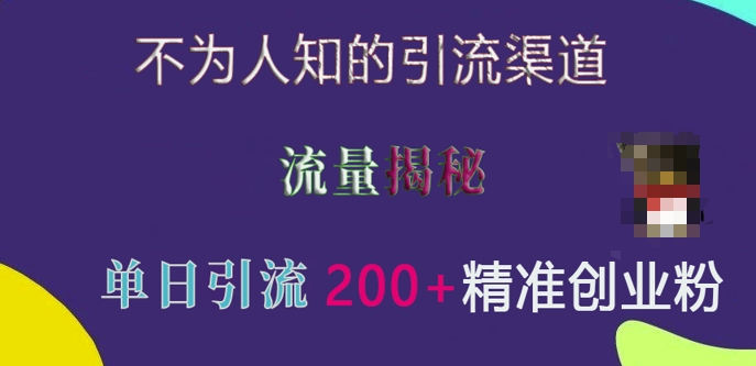 mp13602期-不为人知的引流渠道，流量揭秘，实测单日引流200+精准创业粉