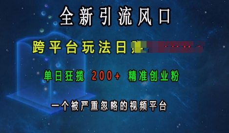 mp13615期-全新引流风口，跨平台玩法日入上k，单日狂揽200+精准创业粉，一个被严重忽略的视频平台