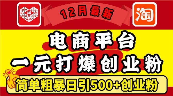 mp13658期-12月最新：电商平台1元打爆创业粉，简单粗暴日引500+精准创业粉，轻松月入过W