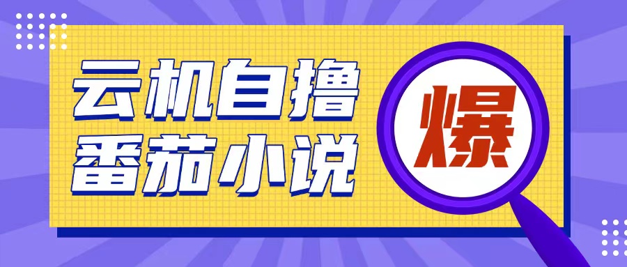 mp13907期-首发云手机自撸小说玩法，10块钱成本可撸200+收益操作简单