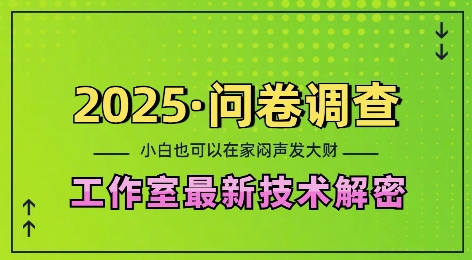 mp13948期-2025问卷调查最新工作室技术解密：一个人在家也可以闷声发大财，小白一天2张，可矩阵放大